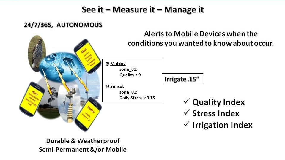 Hawk-EyeTM Measures